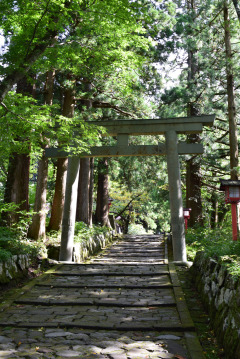 神社前鳥居