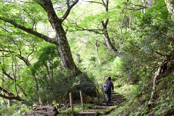 寂静山